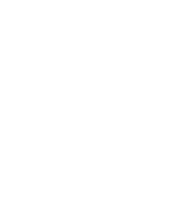 logo ahoihill L white 1